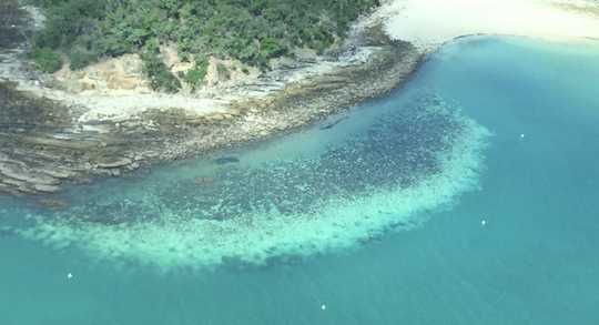 We Just Spent Two Weeks Surveying The Great Barrier Reef. What We Saw Was An Utter Tragedy