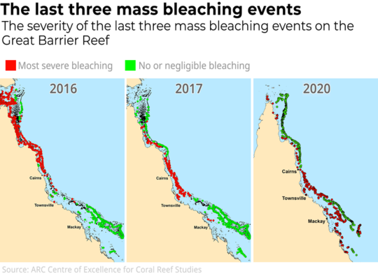 We Just Spent Two Weeks Surveying The Great Barrier Reef. What We Saw Was An Utter Tragedy