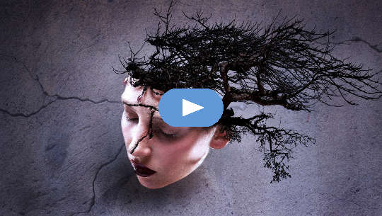 woman's head with a crack and with tree growing from the back of her head