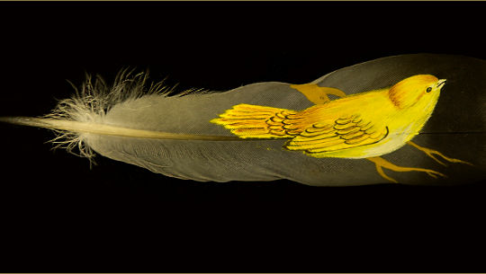 small yellow bird standing on a big bird feather