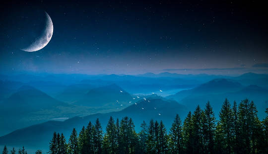 birds flying over a forest landscape under the light of a quarter moon