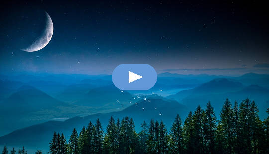 birds flying over a forest landscape under the light of a quarter moon