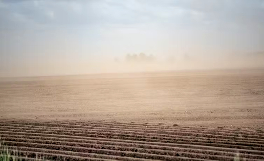 drought with desert-looking landscape