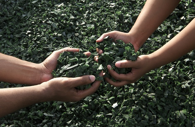 two pairs of hands holding dirt and rocks