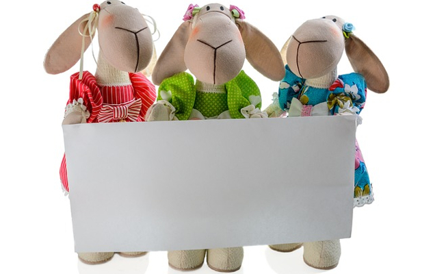 soft toys holding up a blank label