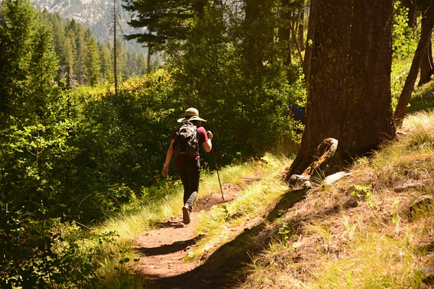 woman hiking on a forest trail