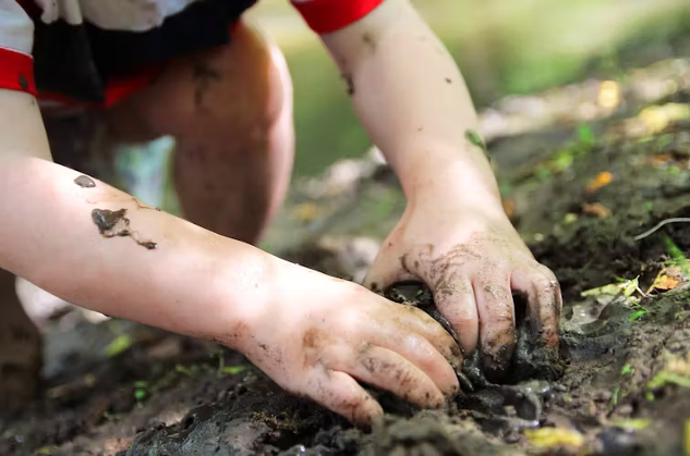 hands working in the soil