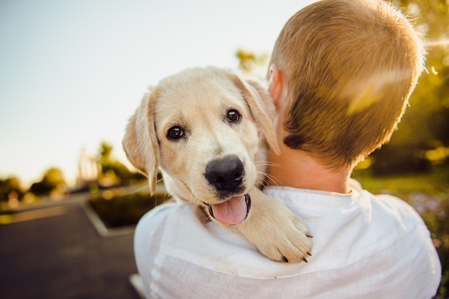 a young boy holding and hugging a dog