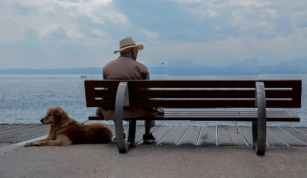 man sitting on a bench with his dog laying on the ground at hsi side