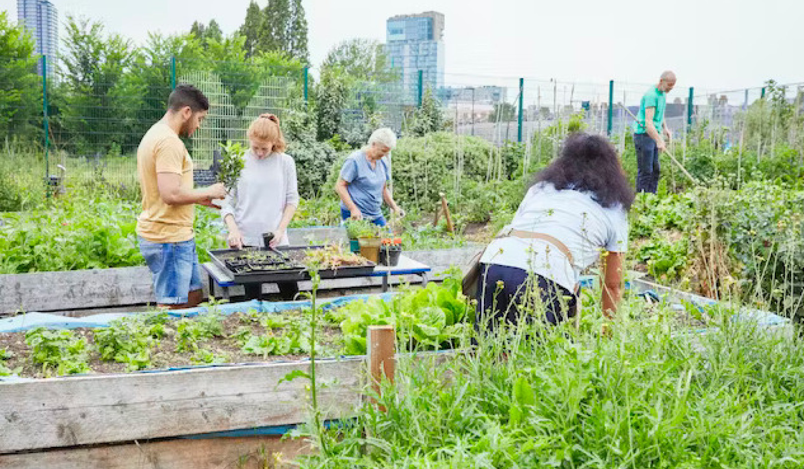 Embracing Nature: Simple Solutions for Eco-Anxiety