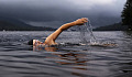 a swimmer in large expanse of water