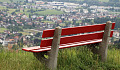 an empty bench overlooking a peaceful nature scene